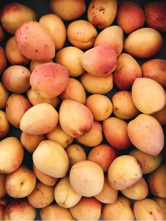 Canapés