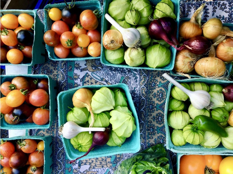 Vegan catering spread